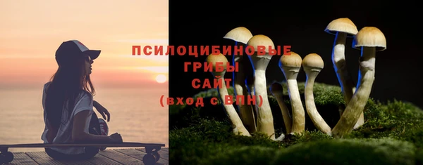 СК Абинск