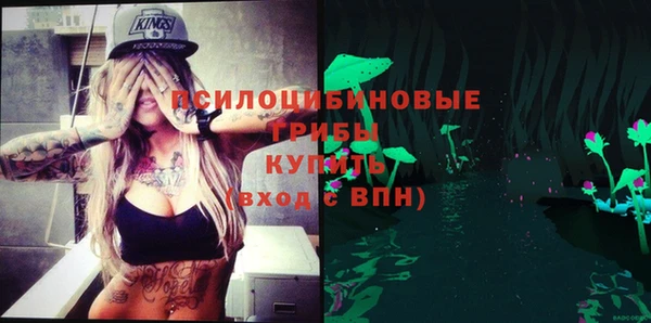 СК Абинск