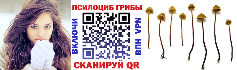 Псилоцибиновые грибы мицелий  Нюрба 